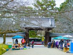 -醍醐寺