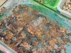 -考记泥焗鸡农庄·海鲜(北洛秘境店)