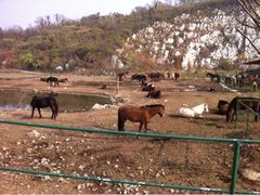 iphone_upload_pic-苏州太湖牛仔风情度假村