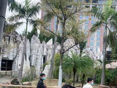 -灵玲国际马戏城