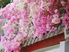 -深圳国际园林花卉博览园