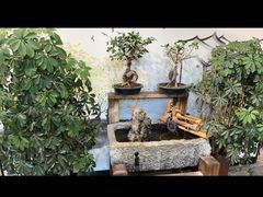 -蘇河湾·新鲁菜·泰山宴老店