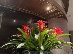 -广舟(千禧店)
