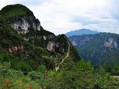 -武陵山森林公园