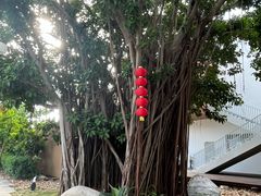 -万绿园