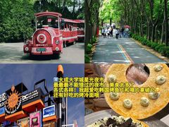 -日照灯塔风景区