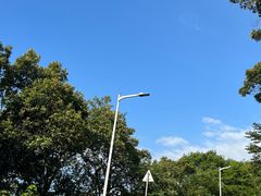 -黄埔油麻山森林公园