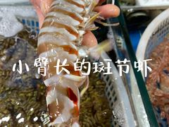 -船奇蒸汽海鲜·闽菜(八市海鲜总店)