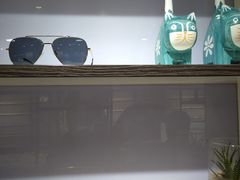 -大视家眼镜(园区星海店)
