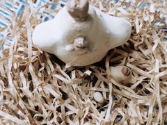 -馆陶手作坊DIY·陶艺·石塑粘土·石膏娃娃(车陂店)