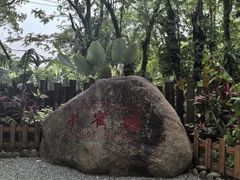 -西双版纳傣族园