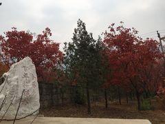 -北京十三陵国家森林公园蟒山景区