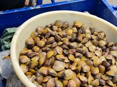 -海鸥岛河景湖大排档