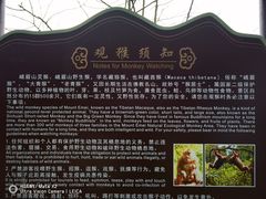 -峨眉山风景名胜区
