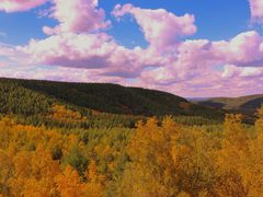 -塞罕坝国家级自然保护区
