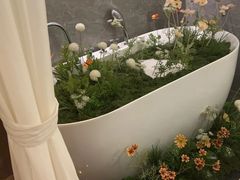 -小仙女采耳·按摩·SPA(深圳旗舰店)