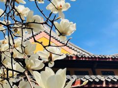 -龙华寺