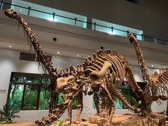 -自贡恐龙博物馆