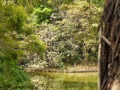 -人民公园(罗湖区)