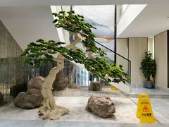 -碧丽宫大酒店(召稼楼店)