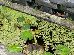 -亦缘居私家别院
