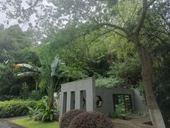 -火炉山森林公园