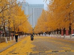-辽宁大学(崇山校区)