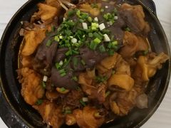 -诚明农家乐