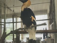 -贵州森林野生动物园