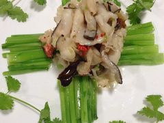 白灼深海螺-郑厨私房菜