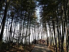 -径山寺