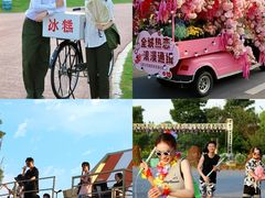 -荷兰花海