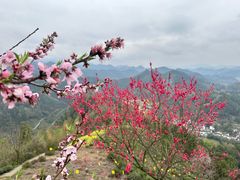 -石潭村