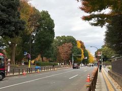 -东京国立博物馆
