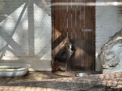 -J Create城市露营咖啡·简餐·宠物(上海动物园店)