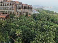 -三亚湾海居铂尔曼度假酒店