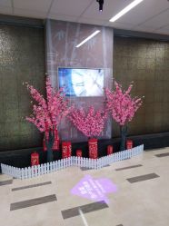 -北京怡德医院妇产中心