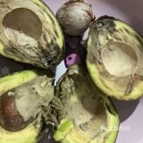 尝鲜外卖生活，结果意外的好