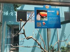 -无锡动物园·太湖欢乐园
