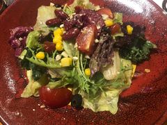 蔬菜养生沙拉-布拉格餐厅· 中欧捷克菜(全国首店)