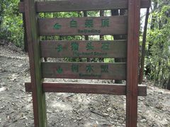 -火炉山森林公园