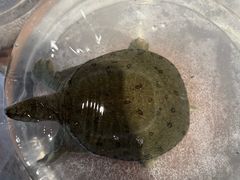 -映月潭传家菜(易俗河店)