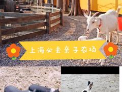 -前小桔亲子创意农场·草莓采摘·露营烧烤
