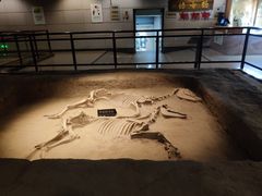 -洛阳周王城天子驾六博物馆