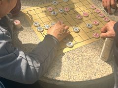 -圩墩遗址公园