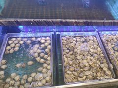 -渔家风味·鲅鱼水饺·央视展播·海鲜天津菜(开发区店)