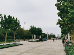 -东疆建设开发纪念公园