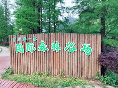 -广州市石门国家森林公园