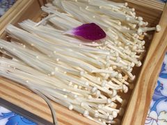 -东道煮牛肉火锅(东盛大街店)
