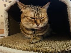 -H立方实景剧情密室(天河旗舰店)